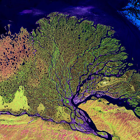 "Lena River Delta - Landsat 2000" by none (Landsat) - Το δέλτα του ποταμού Λένα της Ρωσίας όπως το απεικόνισε ο δορυφόρος Landsat το 2000. Licensed under Public domain via Wikimedia Commons - http://commons.wikimedia.org/wiki/File:Lena_River_Delta_-_Landsat_2000.jpg#mediaviewer/File:Lena_River_Delta_-_Landsat_2000.jpg